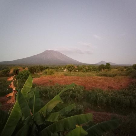 Khrisna Sunrise Homestay Tulamben Pokoj fotografie